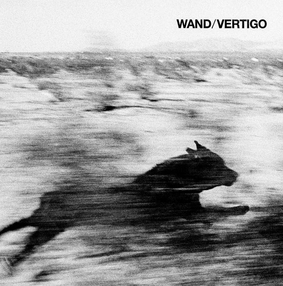 Wand 'Vertigo' black vinyl (pre-order 26th July)