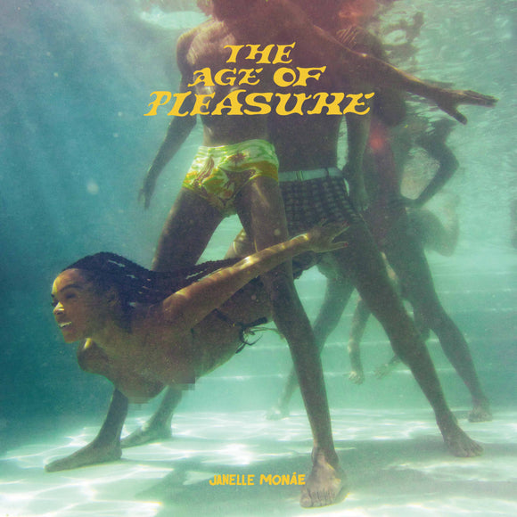 Janelle Monae 'The Art Of Pleasue' black vinyl