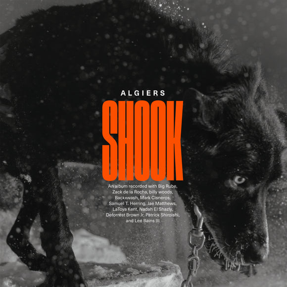 Algiers 'Shook' black LP