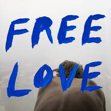 Sylvan Esso - Free Love (Used vinyl)